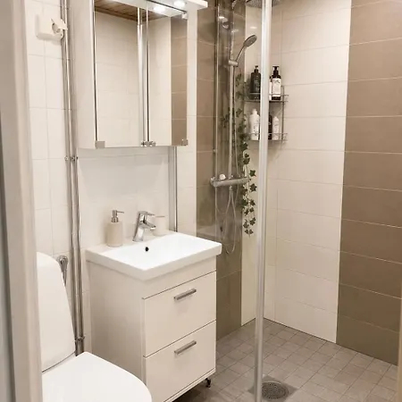 Viihtyisae 60 M2 Keskustassa Oulainen